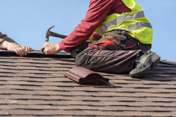 Best Roof Gutter Cleaning  in Rising Sun Lebanon, DE