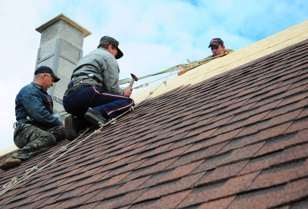 Best Storm Damage Roof Repair  in Rising Sun Lebanon, DE